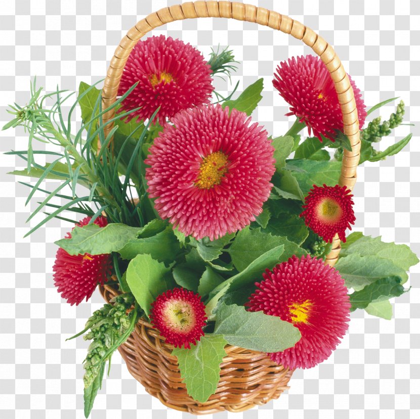 Picture Frames Basket Desktop Wallpaper - Youtube - Chrysanthemum Transparent PNG