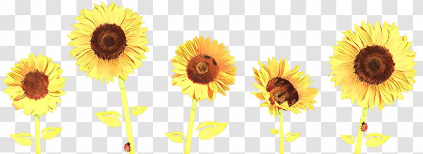 Flowers Background - Sunflower Seed - Vegetarian Food Wildflower Transparent PNG