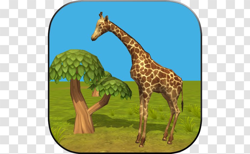 Giraffe Simulator Penguin Android Bear - Ecosystem Transparent PNG