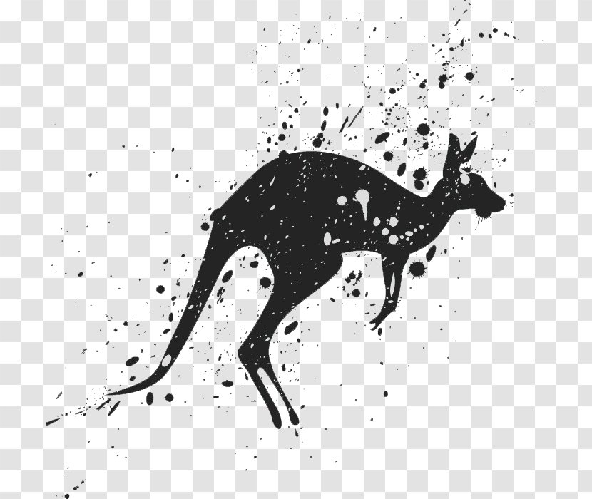 Hazard Symbol Animal Drawing - Art - Kangaroo Transparent PNG