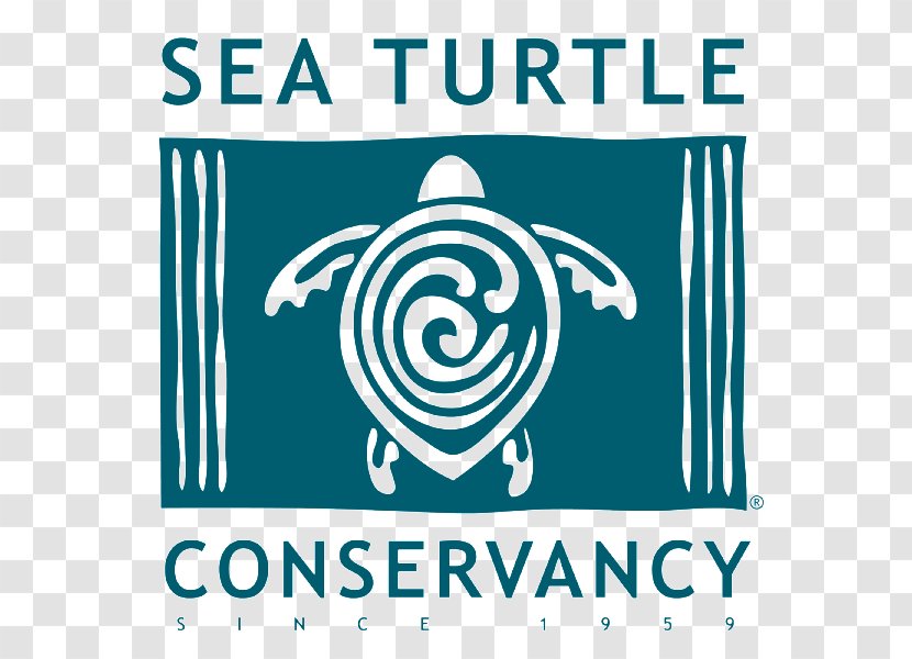 Sea Turtle Conservancy Tortuguero, Costa Rica Tour De Turtles - Conservation Transparent PNG