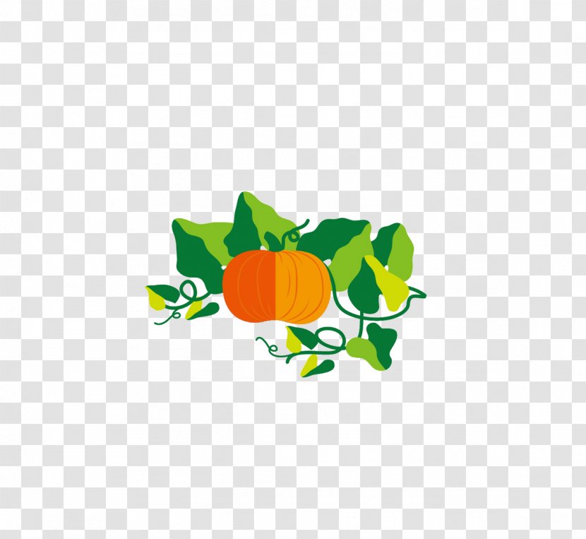 Pumpkin Food Gourd - Luffa Transparent PNG