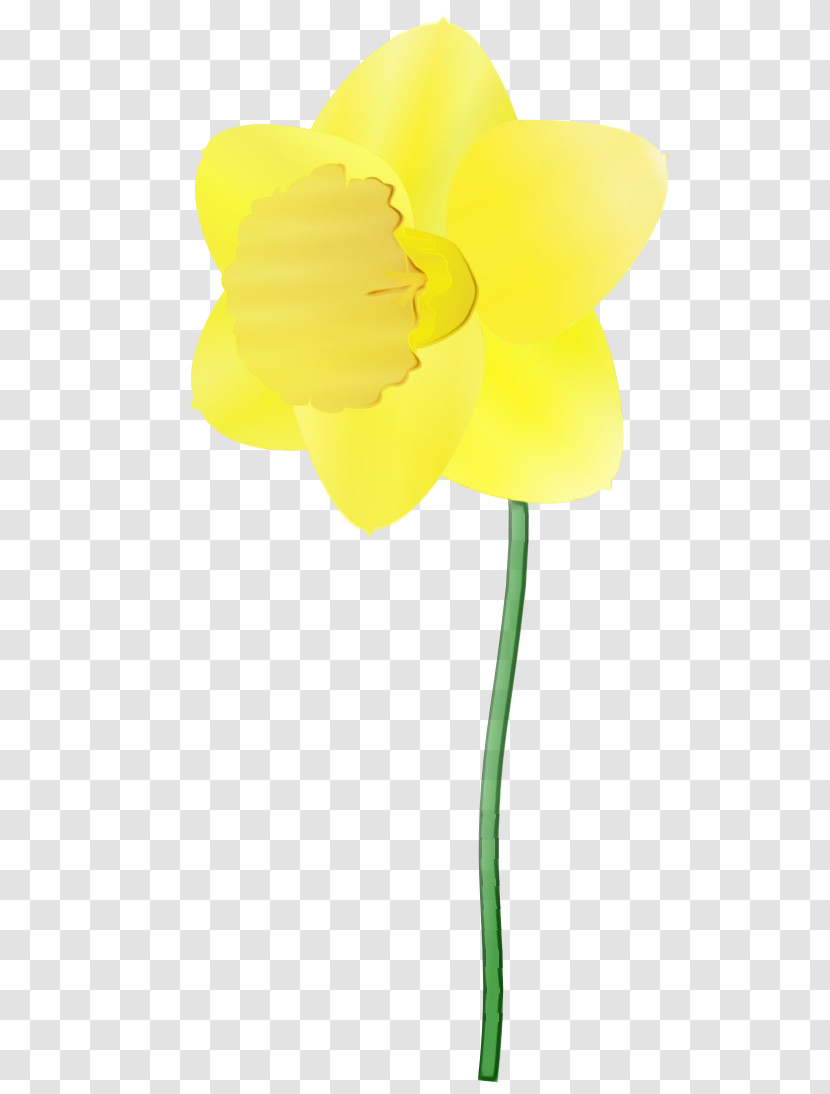 Yellow Flower Plant Petal Cut Flowers Transparent PNG