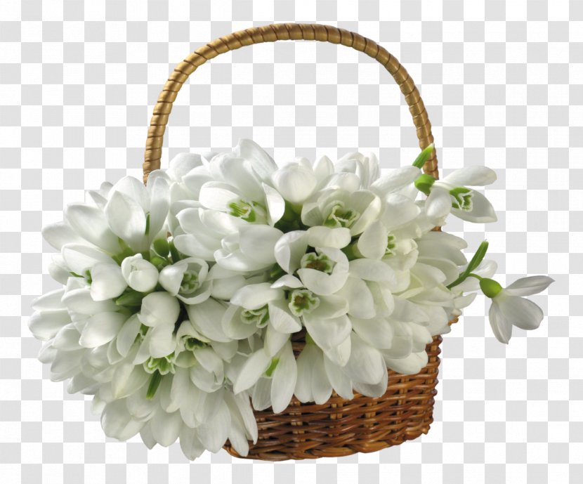 Snowdrop Flower Basket Clip Art - Common Sunflower Transparent PNG