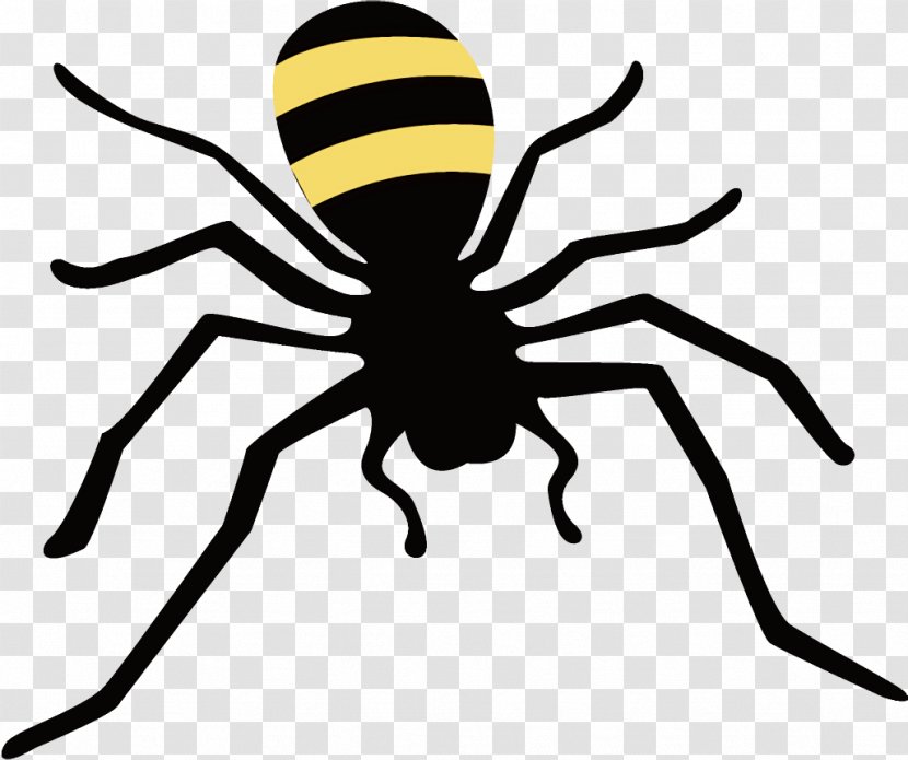 Spider Halloween - Widow Orbweaver Transparent PNG