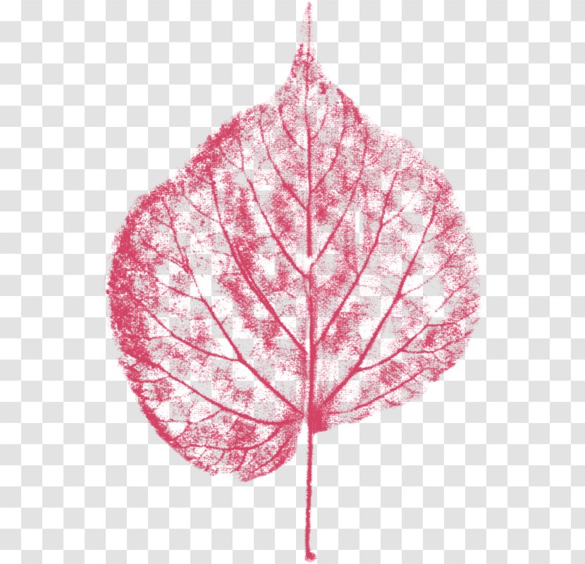 Leaf Pink RGB Color Model - Rgb - Leaves Transparent PNG