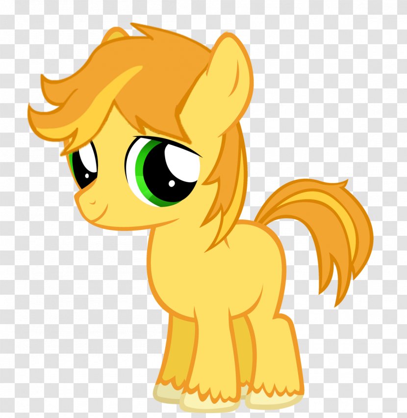 My Little Pony Filly Rarity Rainbow Dash - Horse - Colts Transparent PNG
