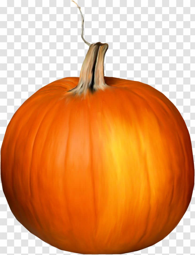 Jack-o-lantern Calabaza Pumpkin Gourd - Orange - Old Transparent PNG