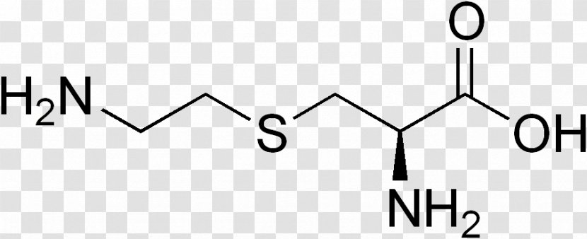 Acetyllysine Amino Acid Structure Side Chain - Frame - Cartoon Transparent PNG