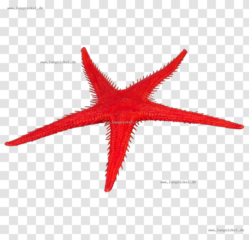 Starfish Fake Food Croissant Cherry - Red Transparent PNG