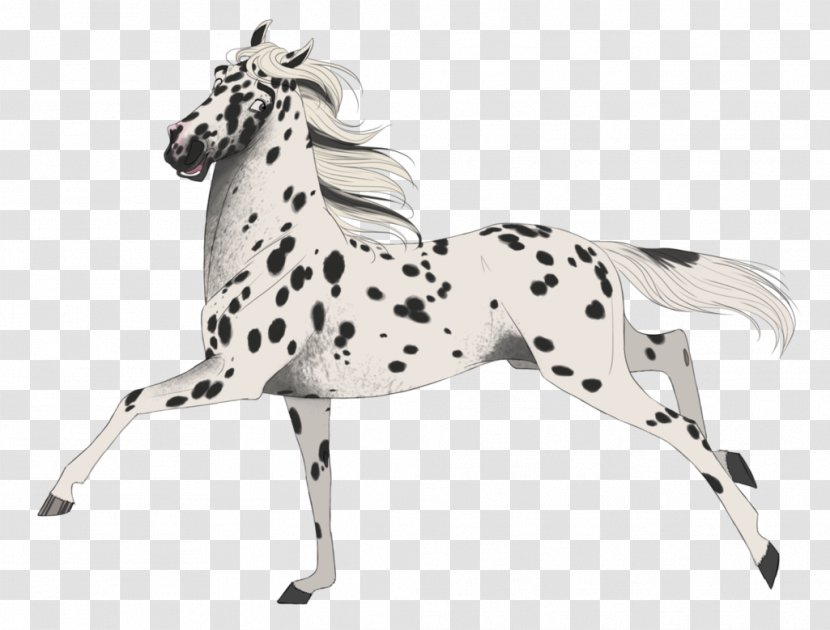 Appaloosa Mustang DeviantArt Drawing - Horse - Digital Markings Transparent PNG