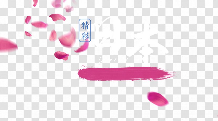 Pink Cherry Blossom - Petals Floating Brush Transparent PNG