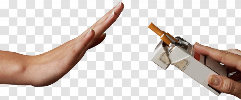 Smoking Ban Tobacco Slogan Cigarette - Flower Transparent PNG