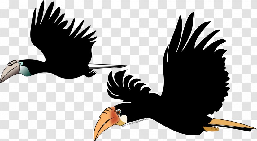Bald Eagle Bird Hornbill Tropical Rainforest Clip Art Transparent PNG