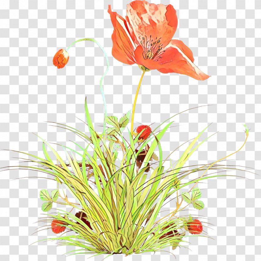 Artificial Flower - Plant Stem Corn Poppy Transparent PNG