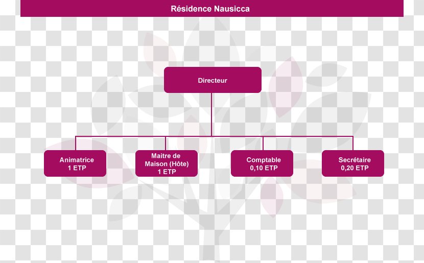 A.V.S.E.A. Organizational Chart Avsea Graphic Design Adavie - Pink - Fondation Foyerhandicap Transparent PNG