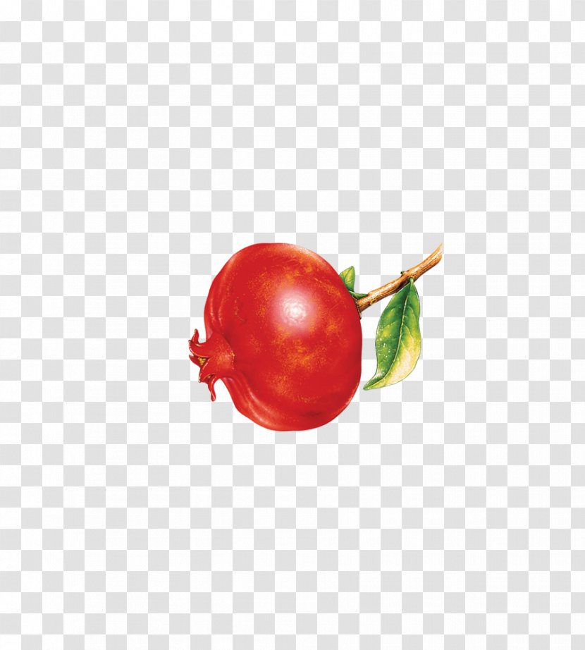 Tomato Cherry Red Fruit - Vegetable - Pomegranate Transparent PNG