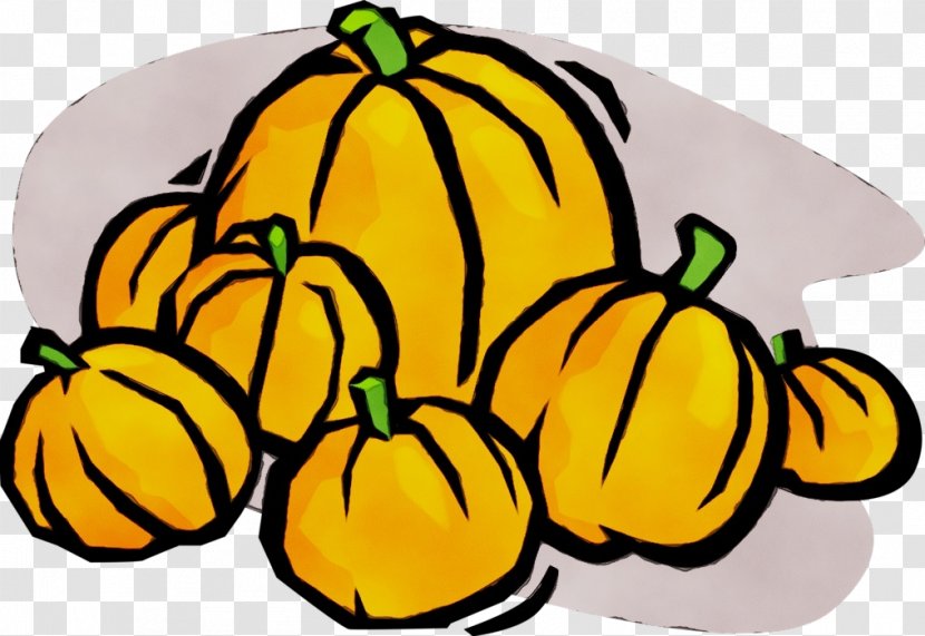 Pumpkin - Fruit - Vegetable Transparent PNG