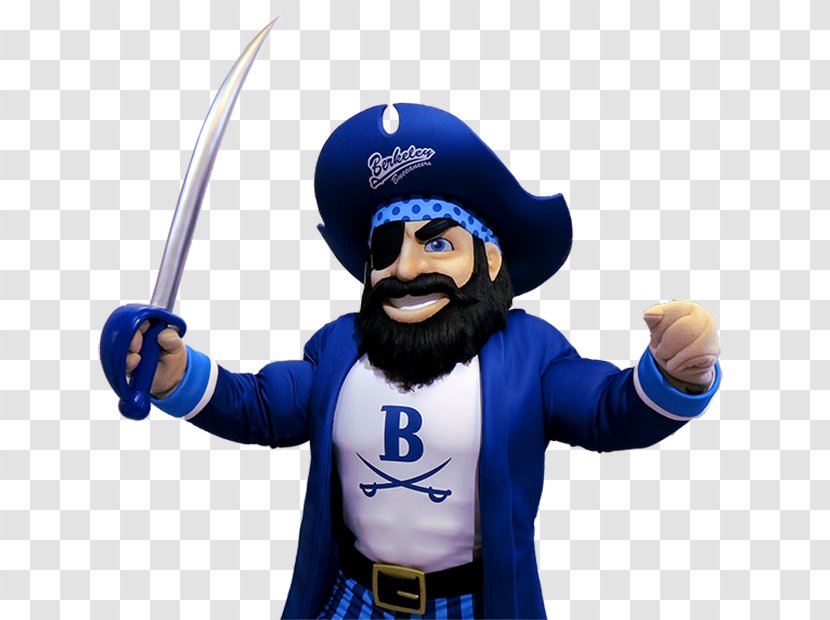 Mascot Costume Pittsburgh Pirates Buccaneer Headgear - Beard Transparent PNG