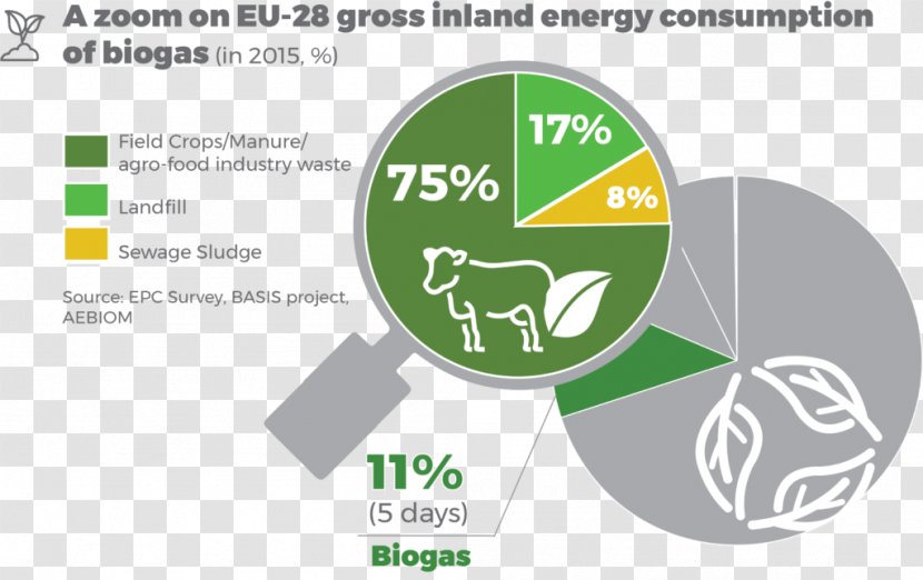 European Union Bioenergy Biomass Association Renewable Energy - Technology Transparent PNG