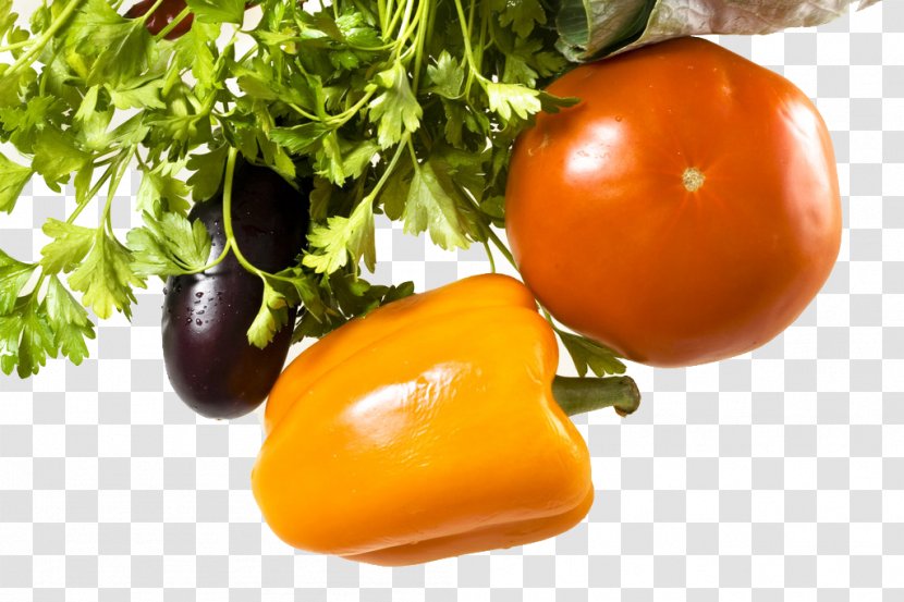 Tomato Bell Pepper Salsa Food Eggplant - Fresh Vegetables Transparent PNG
