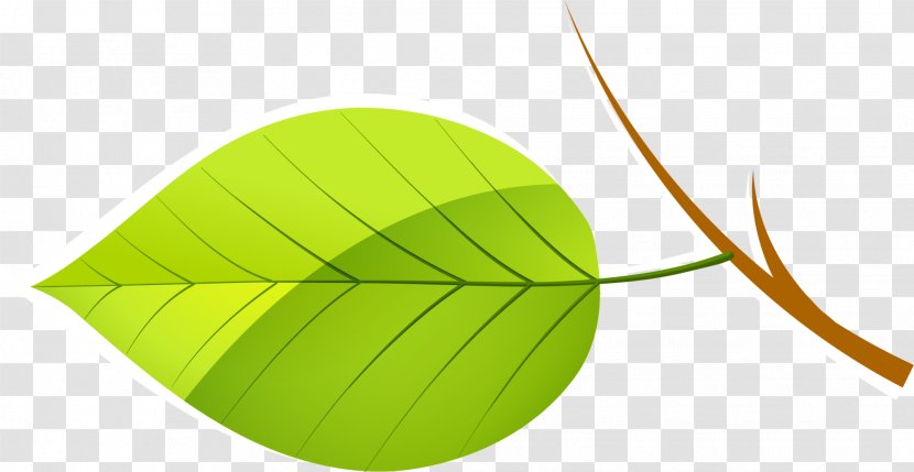 Leaf Green Euclidean Vector Download - Plant - Fresh Leaves Transparent PNG