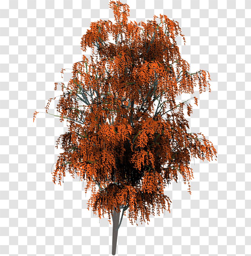 Twig Brush Tree Painting Project Dogwaffle - 3d Shading Pattern Transparent PNG