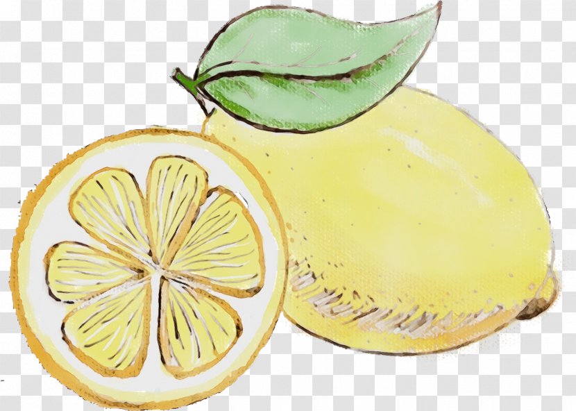 Lemon Citrus Fruit Yellow Citron - Lemonlime Plant Transparent PNG