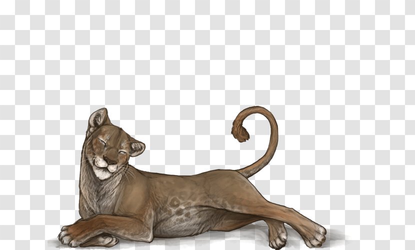 Big Cat Terrestrial Animal Puma Wildlife - Lord Farquaad Transparent PNG