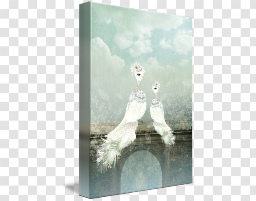 Lovebird Picture Frames Feather Wood - Couple Bird Transparent PNG