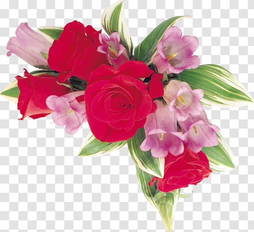 Cut Flowers Garden Roses Floral Design - Beach Rose - Bell Transparent PNG