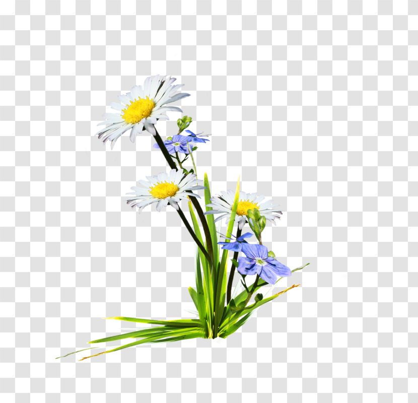 Wildflower Floral Design - Flower Arranging - Chamomile Transparent PNG