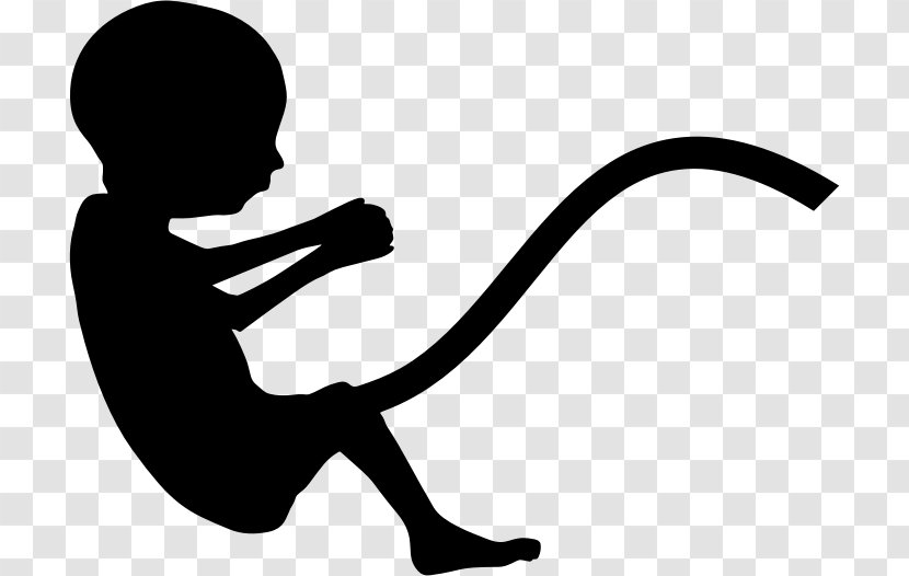 Pregnancy Fetus Infant Mother - Silhouette Transparent PNG