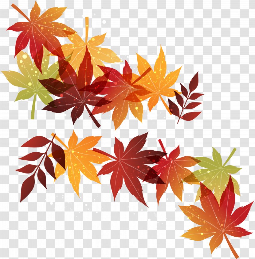 Autumn Maple Leaf - Plant - Withered Leaves Transparent PNG