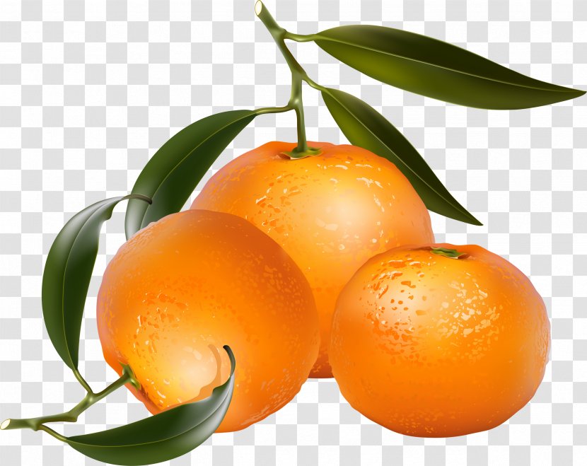 Tangerine Mandarin Orange Photography Royalty-free - Chenpi Transparent PNG