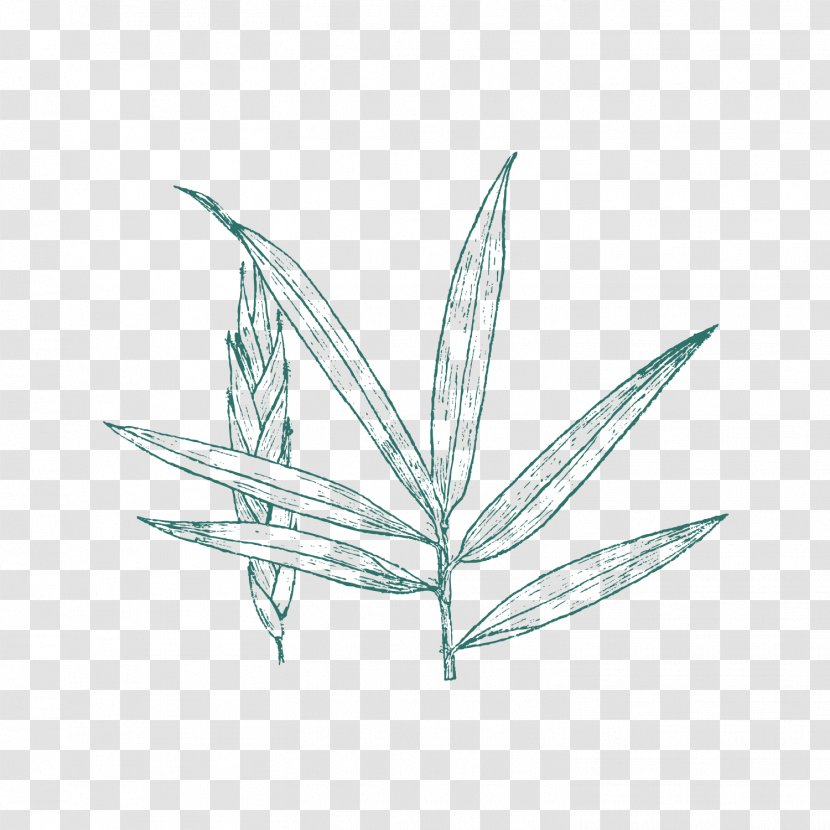 /m/02csf Black & White - M02csf - M Grasses Drawing LeafBotanic Button Transparent PNG