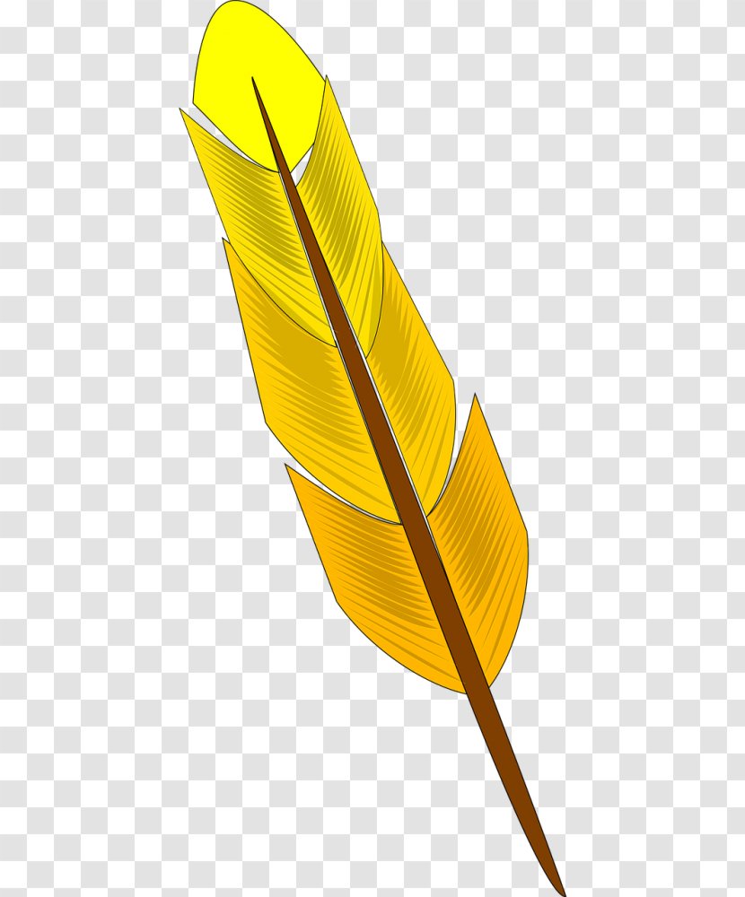 Clip Art Bird Feather Yellow Openclipart Transparent PNG