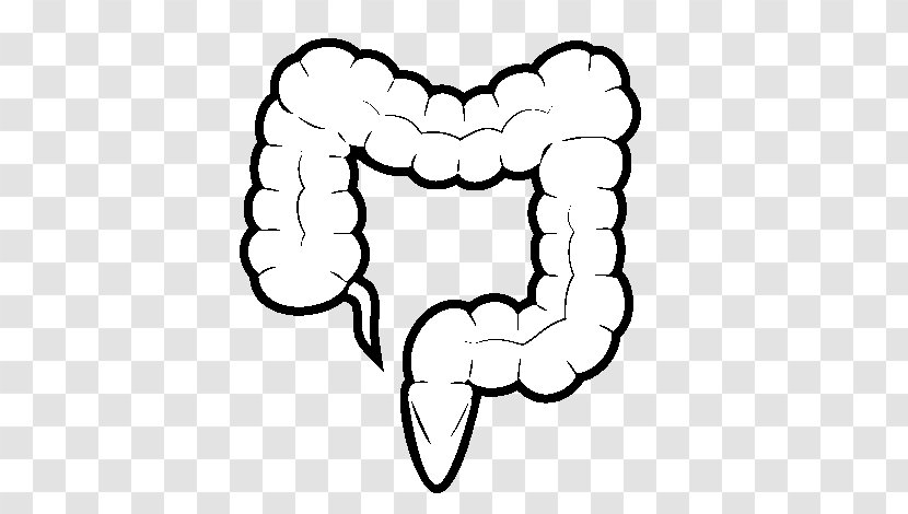 Small Intestine Large Drawing Coloring Book - Flower - Cartoon Transparent PNG