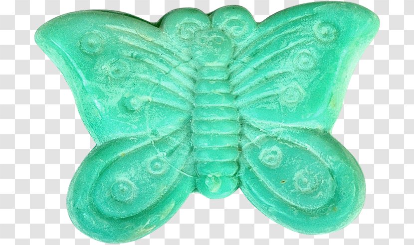 Turquoise - Insect Transparent PNG