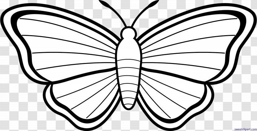 Monarch Butterfly Coloring Book Adult Drawing Transparent PNG