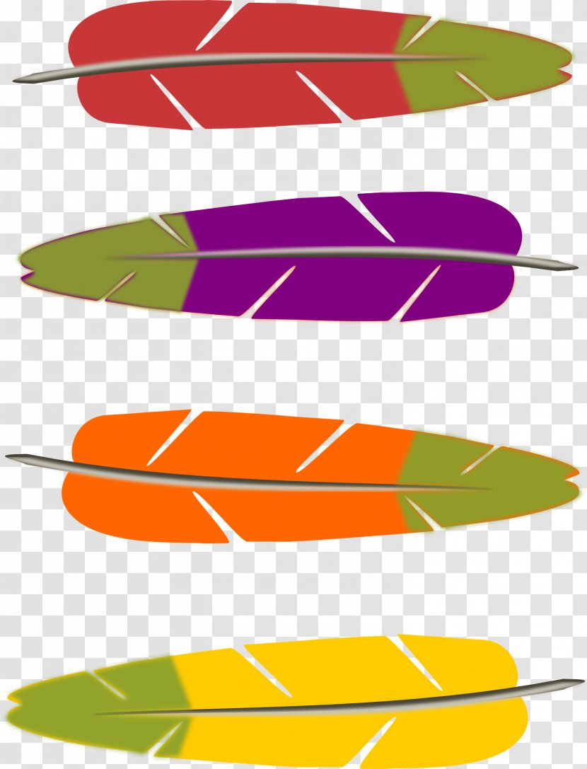 Bird Feather Clip Art - Pygostyle - Colorful Feathers Transparent PNG