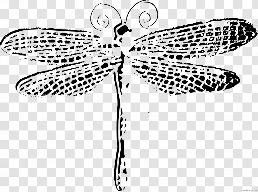 Dragonfly Insect Clip Art - Symmetry Transparent PNG