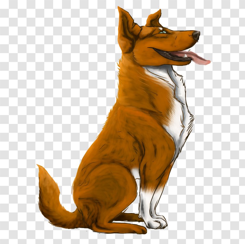 Dog Breed Red Fox Dhole Snout Transparent PNG