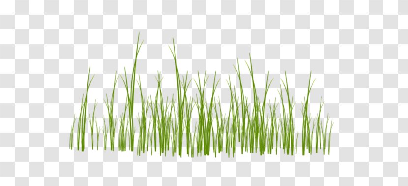 Image Download Clip Art Vector Graphics - Sweet Grass - Plains Wallpaper Transparent PNG