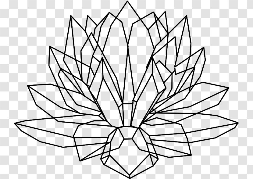 Drawing Crystal Cluster Nelumbo Nucifera - Plant - Lotus Seeds Transparent PNG