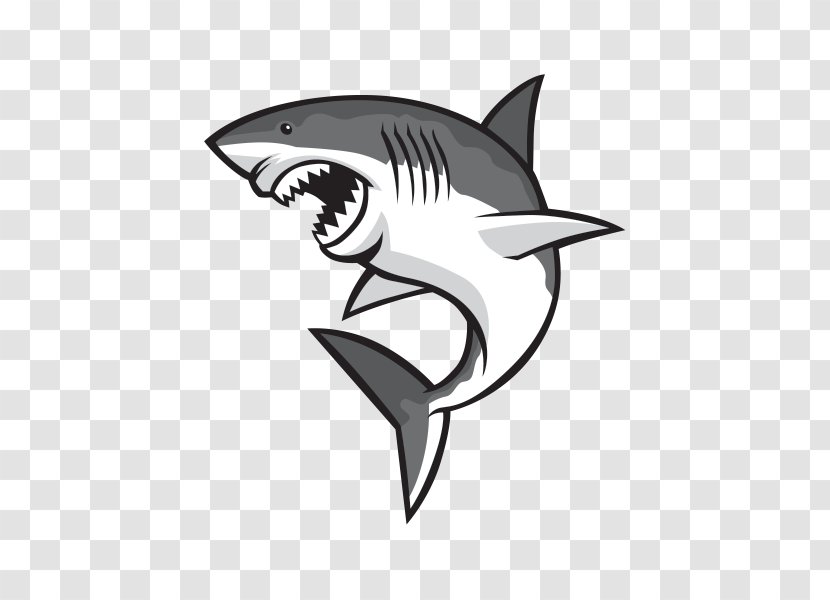 Shark - Fish - Fin Cartilaginous Transparent PNG