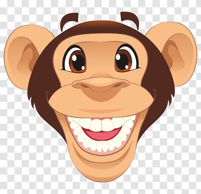 Monkey Cartoon - Photography Transparent PNG