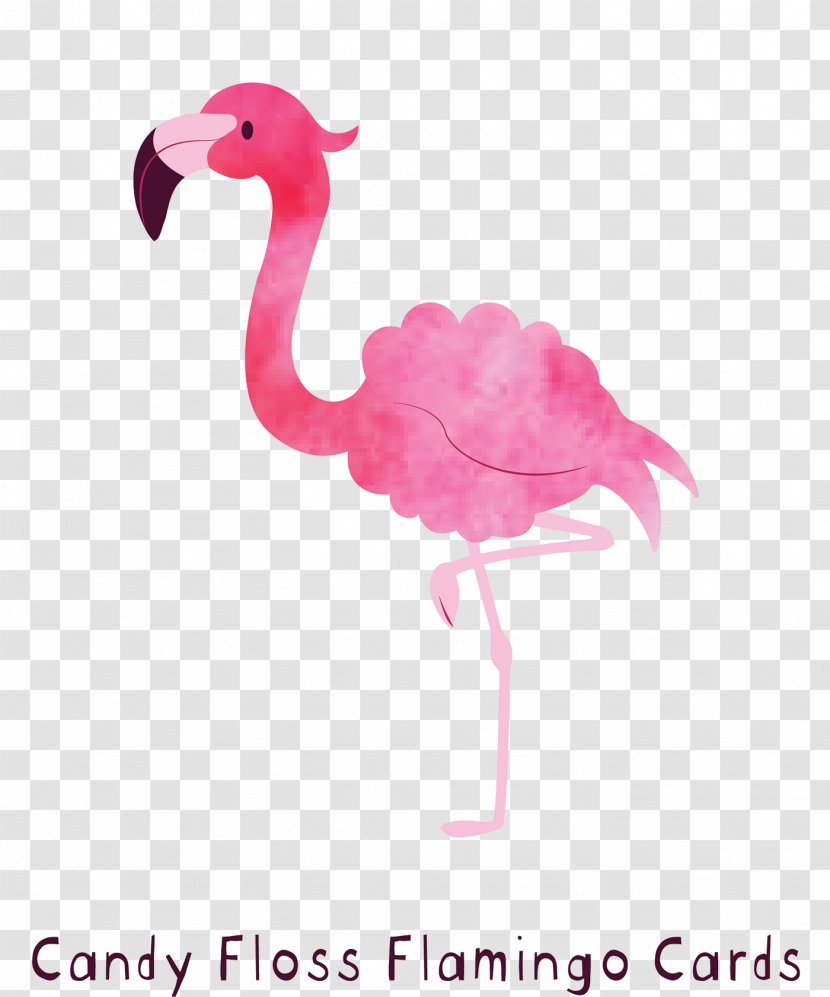 Pink Flamingo - M - Beak Water Bird Transparent PNG