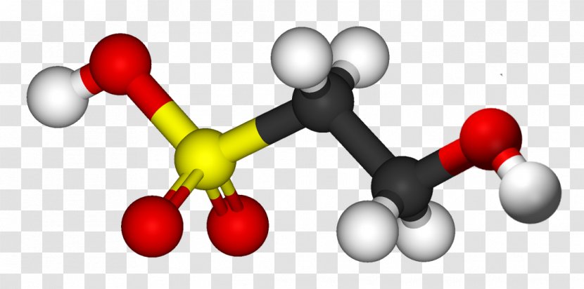 Hypotaurine Amino Acid Bile - Essential Transparent PNG