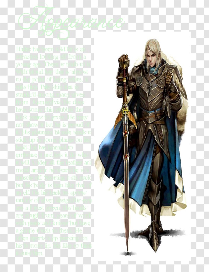 Dungeons & Dragons Paladino Knight-errant - Mail - Costume Transparent PNG